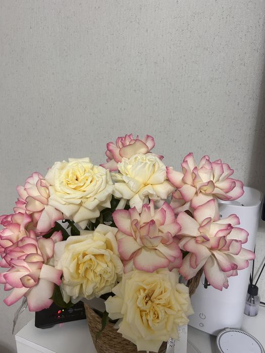 Корзина с цветами,свежий,получили толькт сегодня