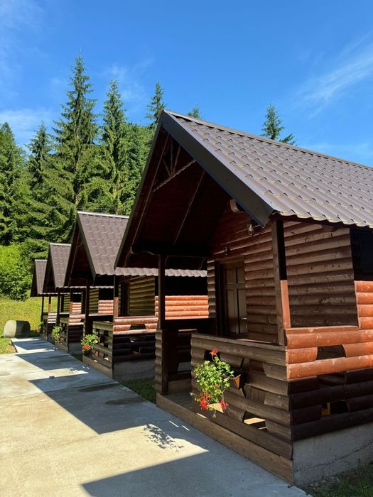 Cazare la Casutele Ariesene