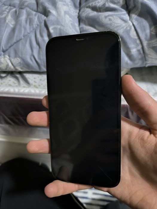 iPhone 12 pro max