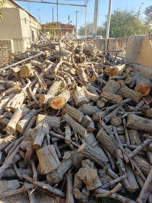 Утинлар сотилади