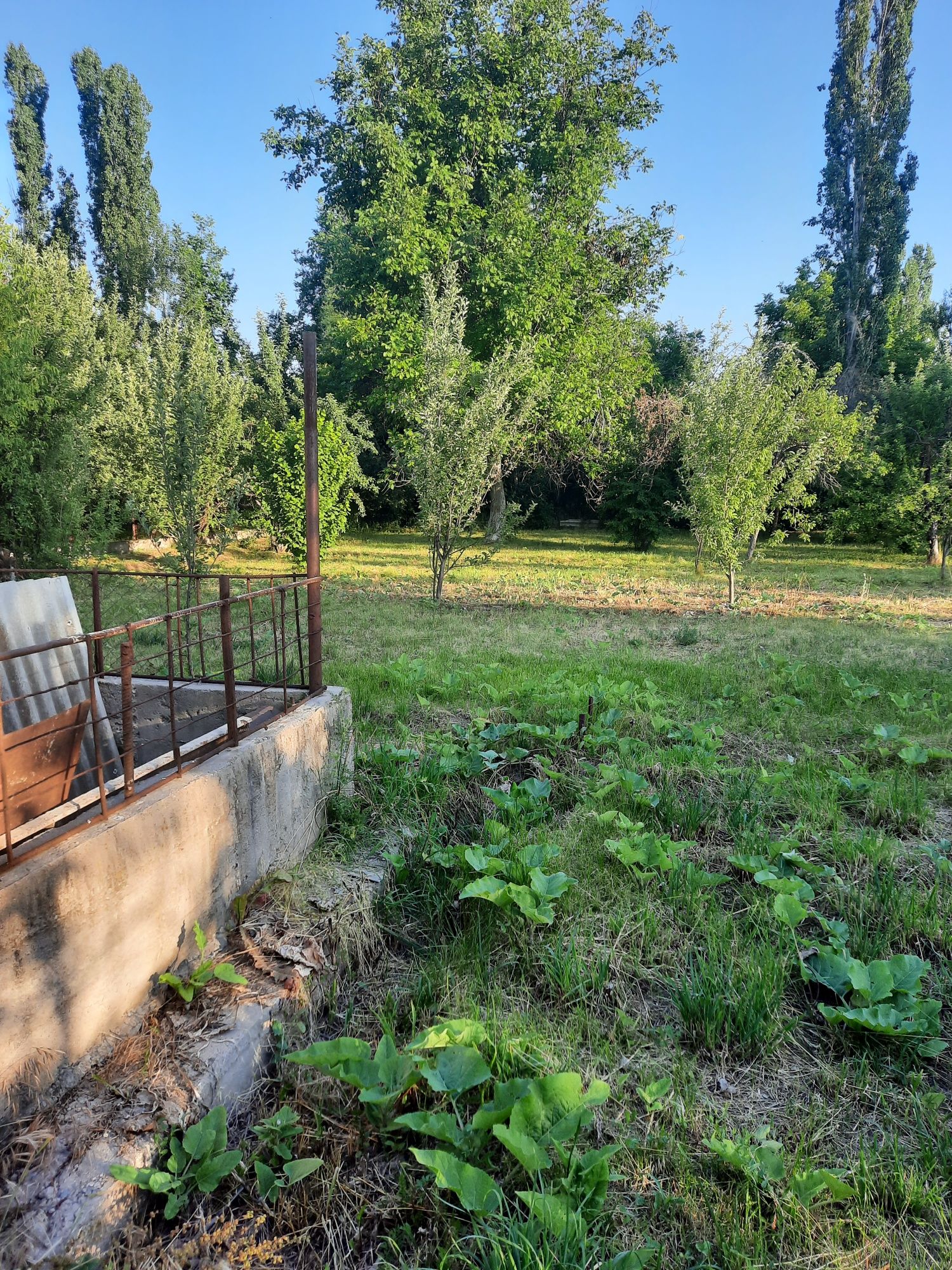 Продается дом, село Зертас