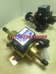 Minipompa Electrica 12v Universala Dedicata Benzina  Motorina Tensi