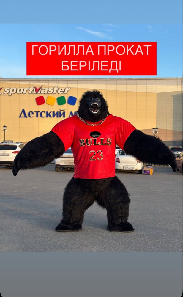 Мишка Тедди Аниматор Умка Прокат