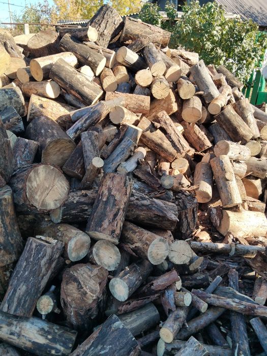 Дрова сосна чурками