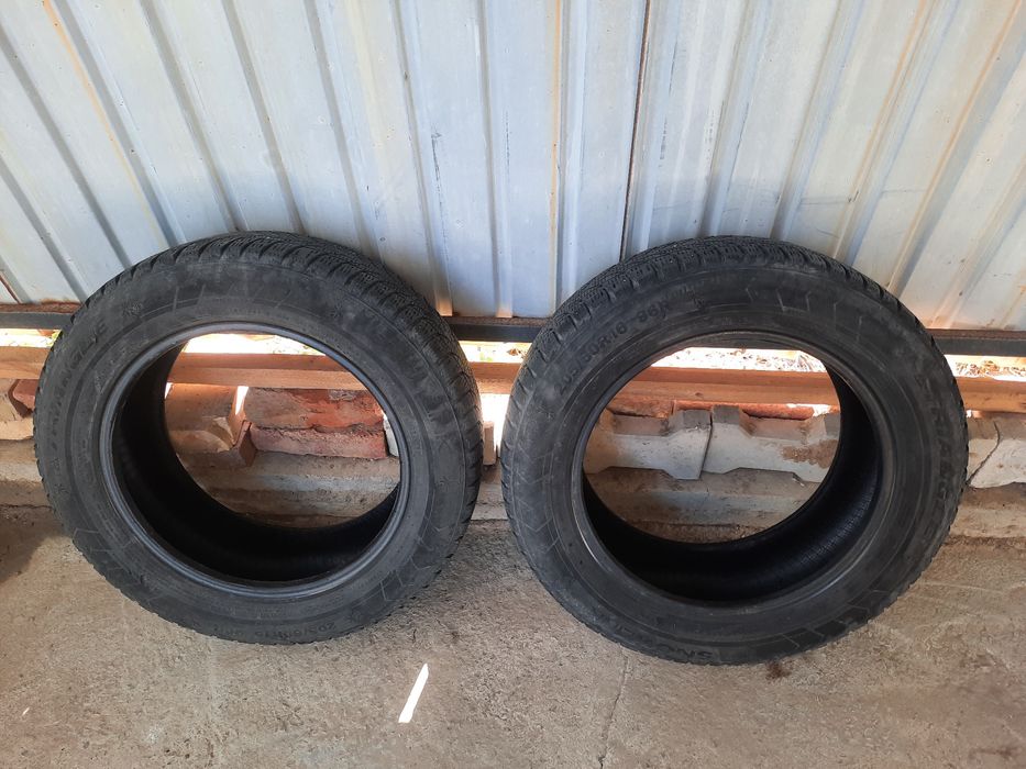 Зимние шины тригианже