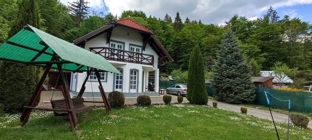 Revelion la poalele Munților Harghita, preț 5000 lei pe 3 sau 4  nopți