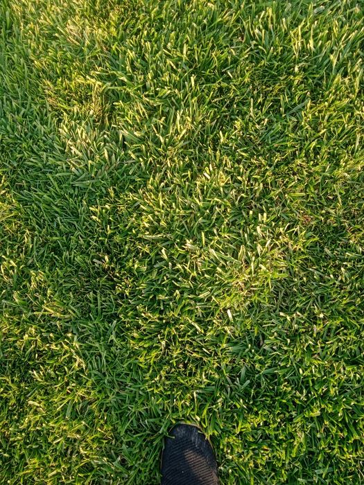 Gazon rulon tayor 30000 sum