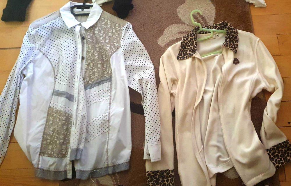 Bluze, sacouri , hanorace: 12 buc