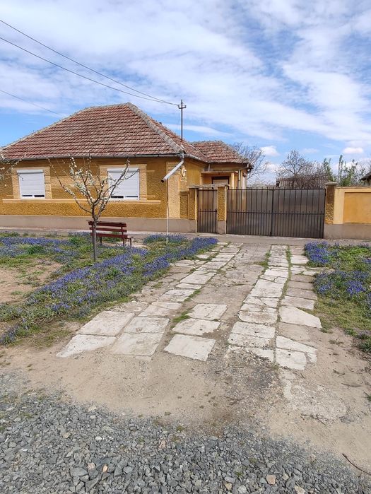Casa in Macea , jud Arad.