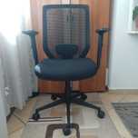 Scaun ergonomic de birou