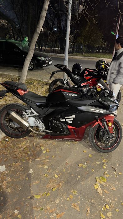 Kawasaki sonic red line