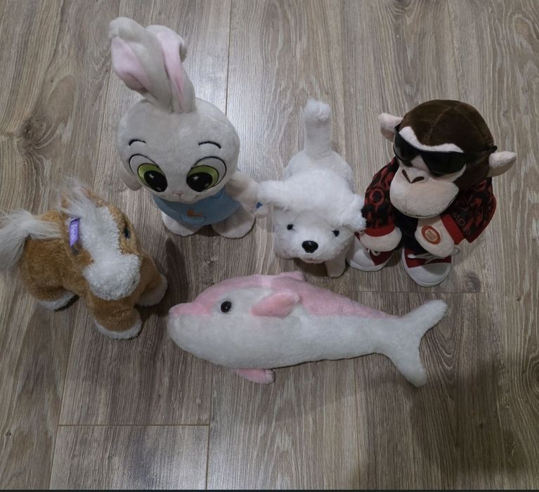 Reduceri 10 %-Jucarii plusuri  gentute