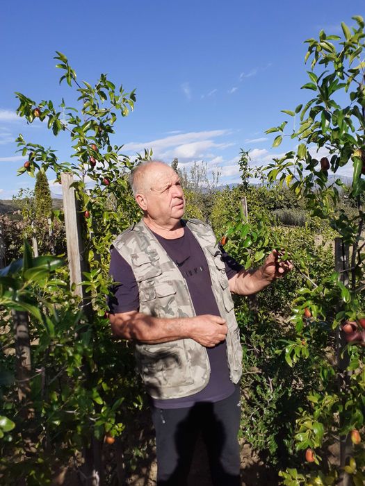 КИТАЙСКА ФУРМА- хинап 25лв.