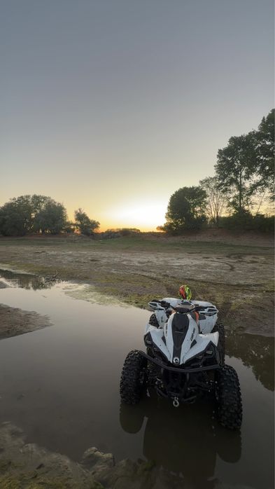 Can am renegade 1000r