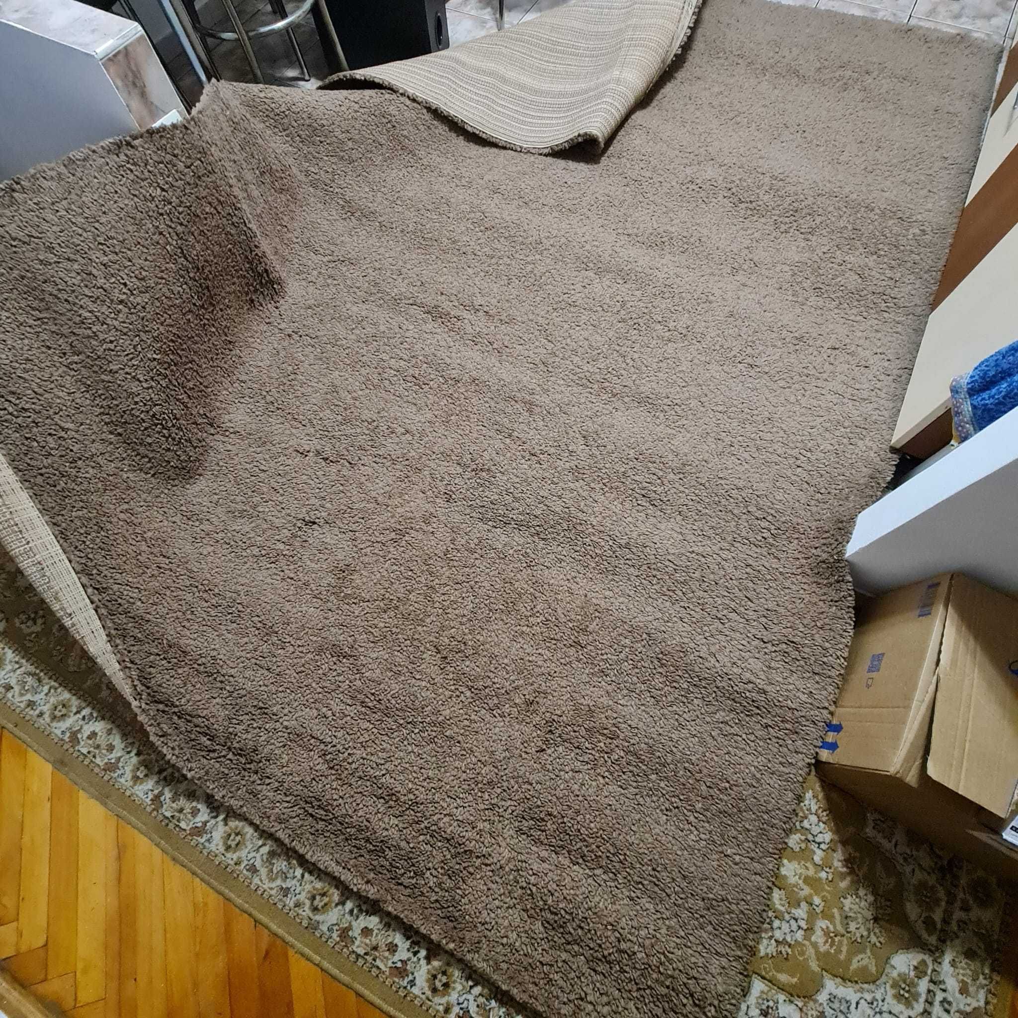 Covor living fir lung Shaggy Loop 288x198 cm