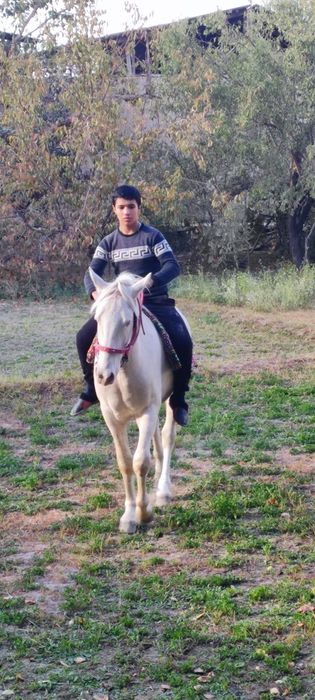 От сотилади зоти тоза