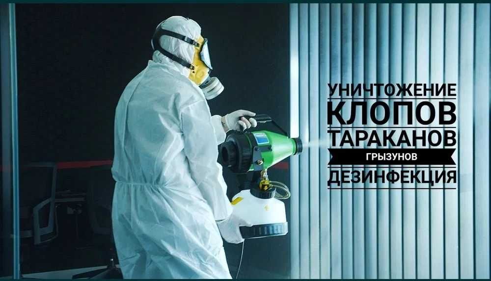Dezinfeksiya Dezinseksiya Deratizatsiya klapa kaltakese ilon Дезинфекц