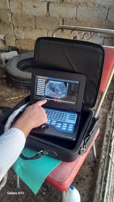 Vetuzi Viloyat boylab sifatli uzi xizmati bor