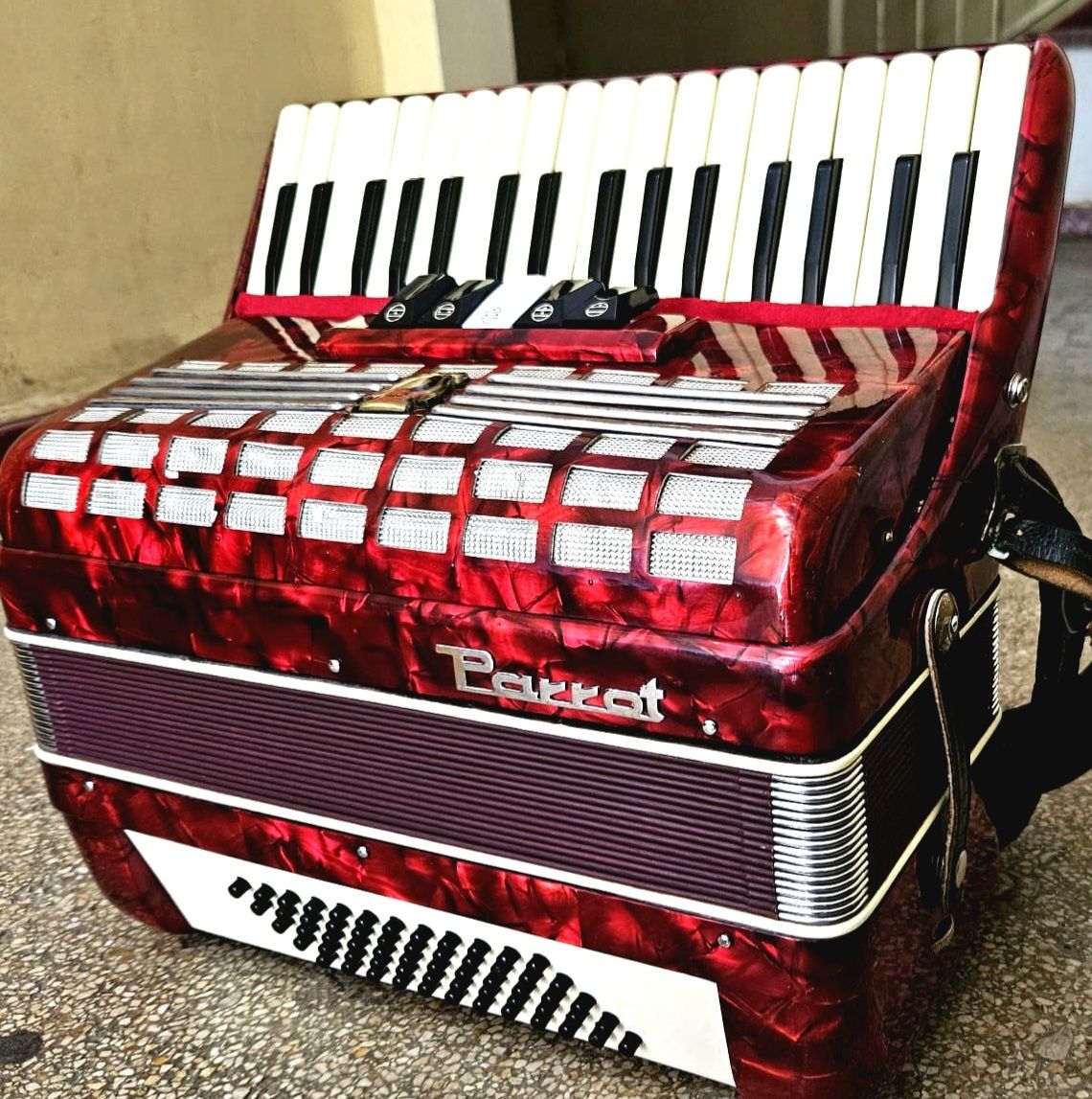 Acordeon Parrot 60 basi