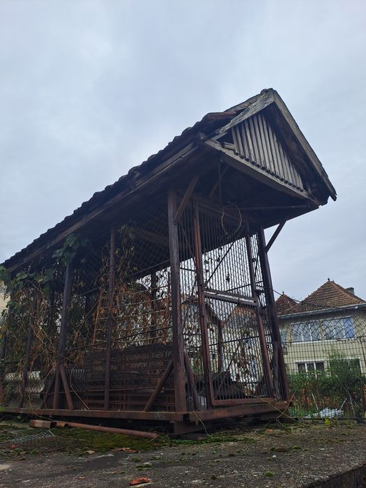Cotarca de porumb