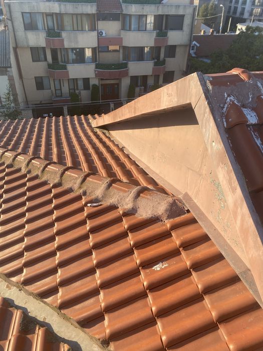 Meseriasi constructii în tot județul constanta