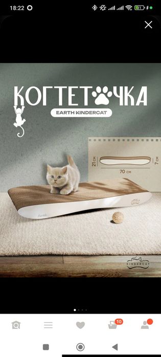 Когтиточки новые