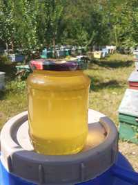 Vând miere de albine polifloră!