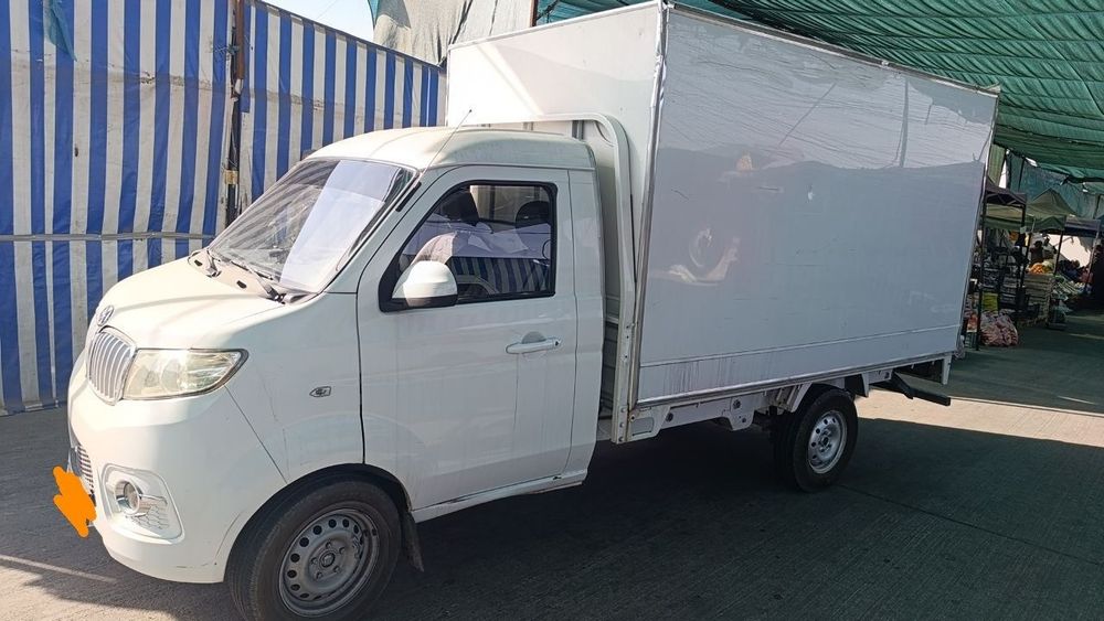 Single Cabin Truck SHINERAY T30