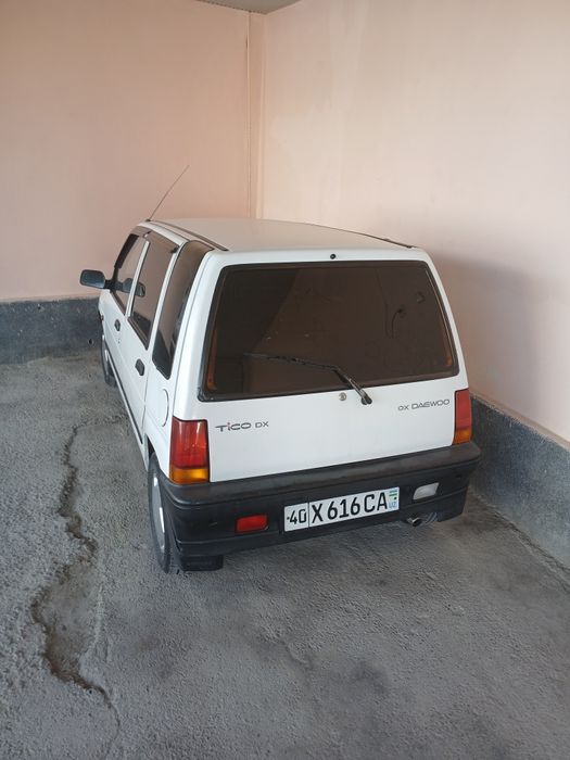 радной холати тиник