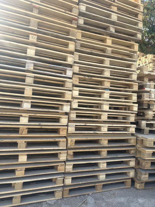 Paddon pallet paddoni pallet