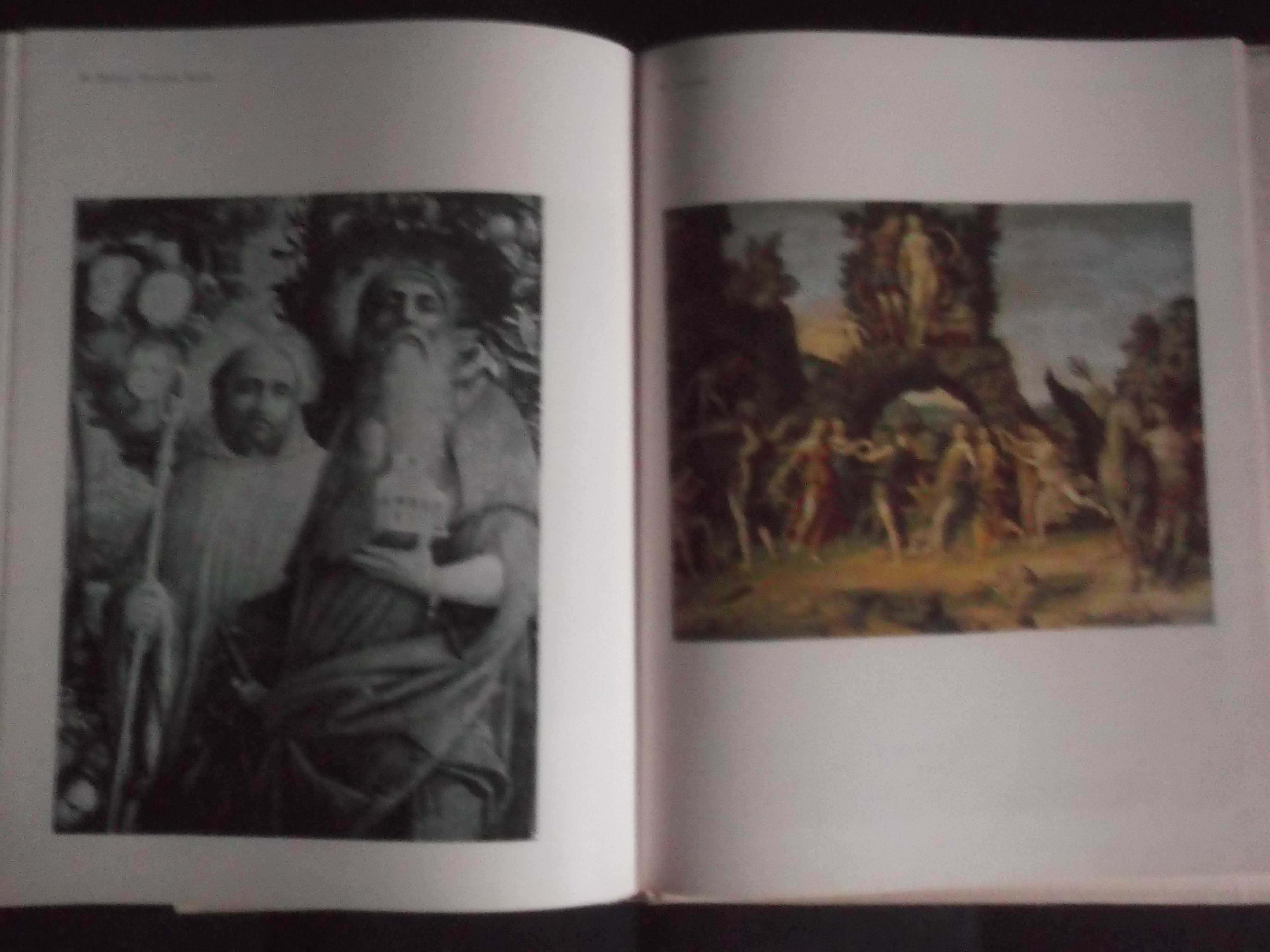 Alexandru Balaci - Mantegna, Editura Meridiane, 1980
