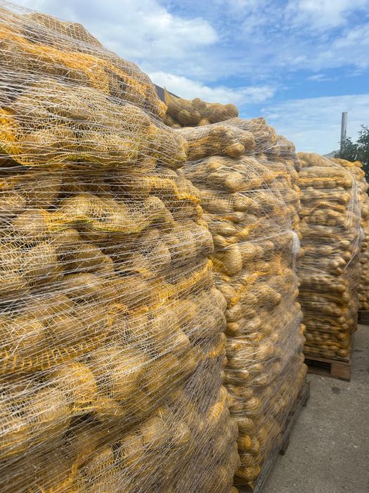 Vand cartof calibru 6+