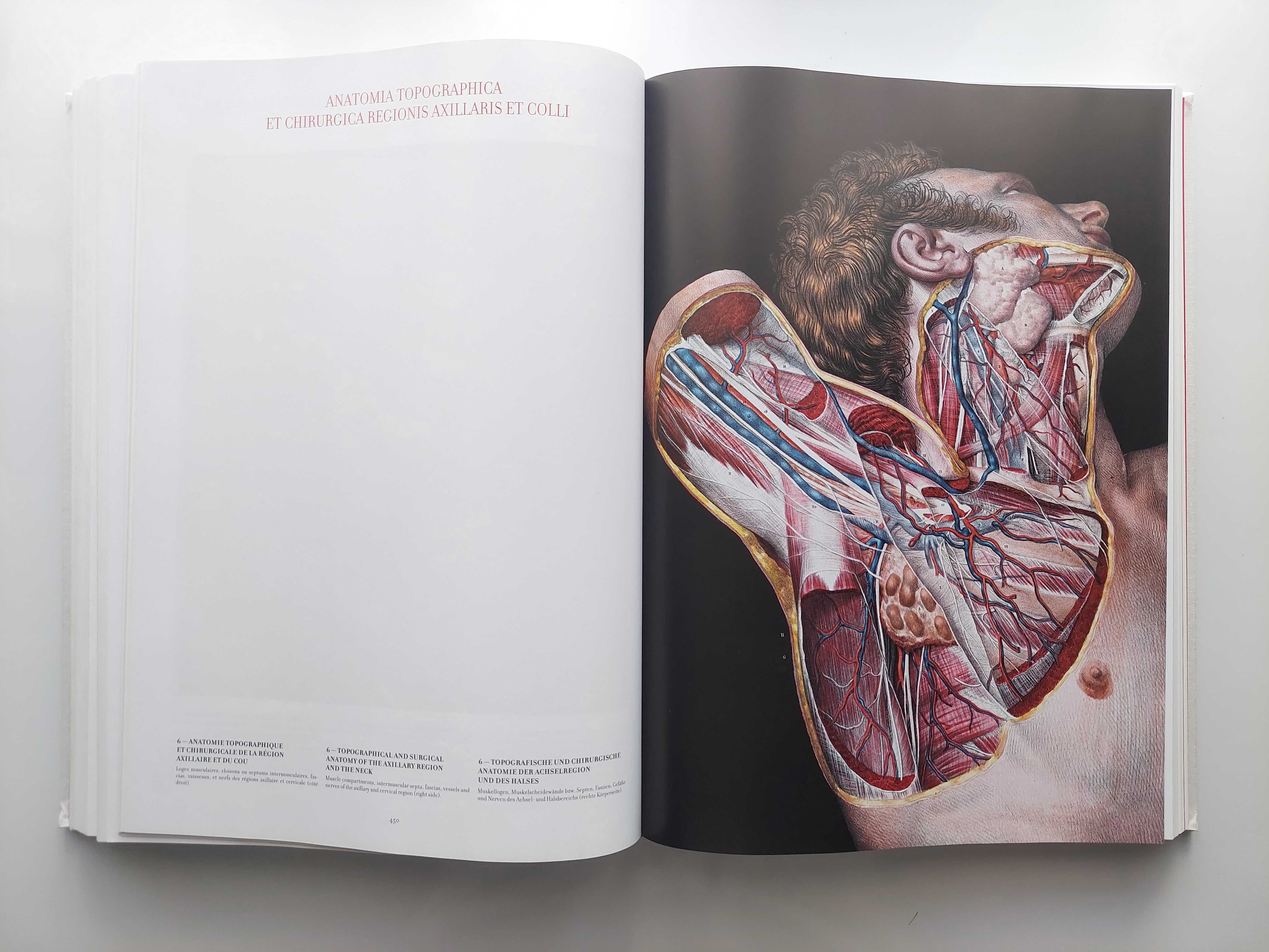 Bourgery. Atlas de anatomie și chirurgie umană