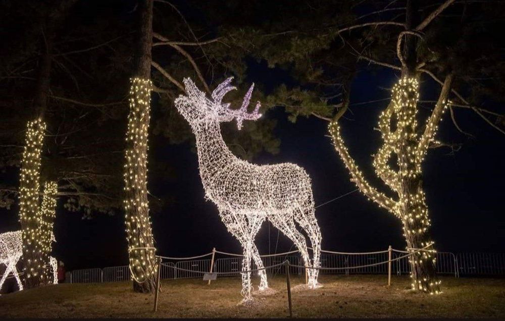 Новогодний олень из первых рук