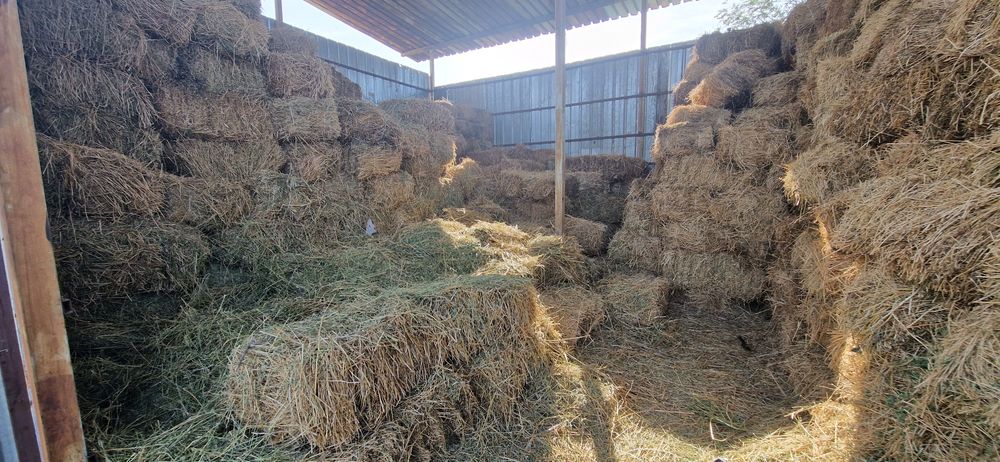 Сдам в аренду ФАЗЕНДУ