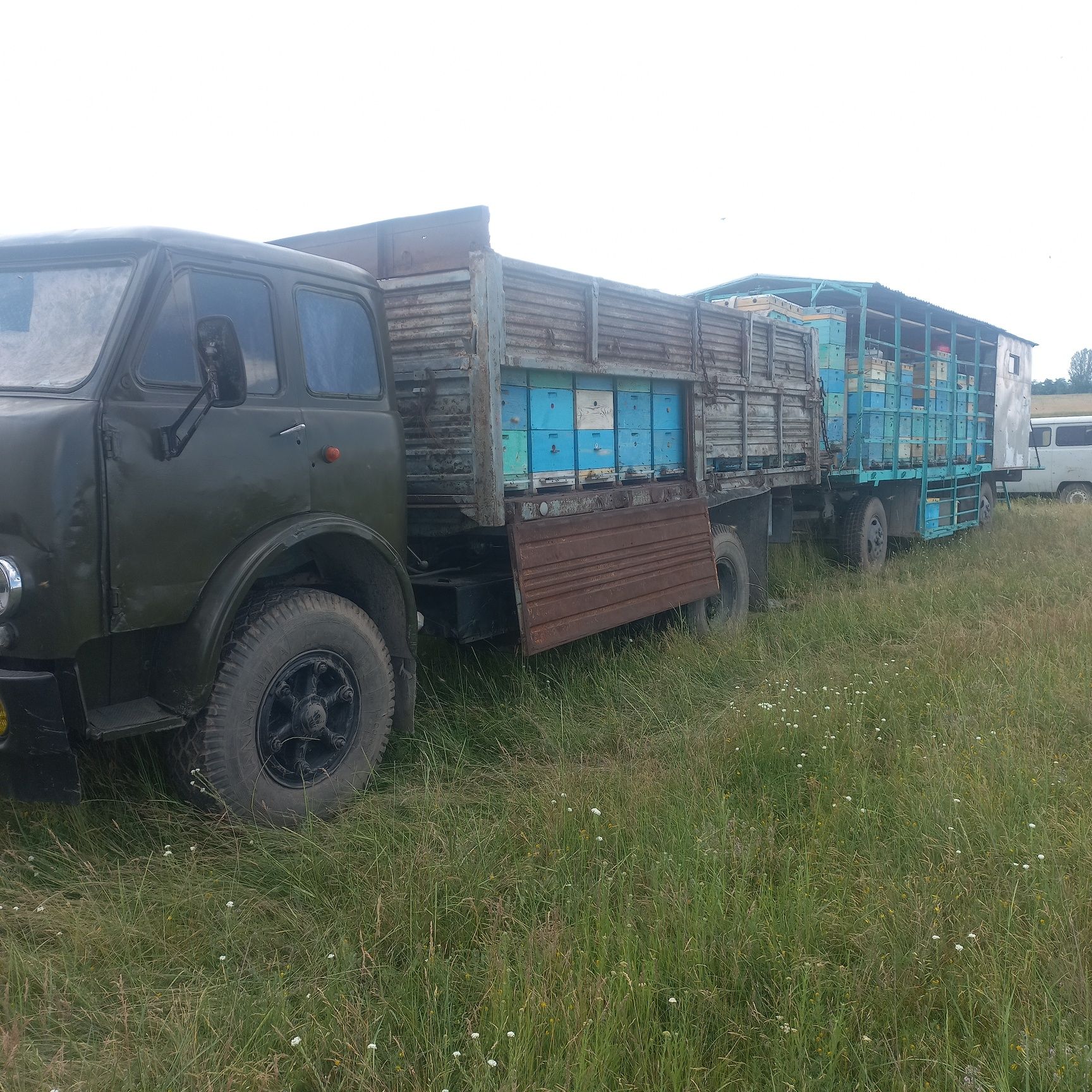 Продам пасеку в сцепке!!!