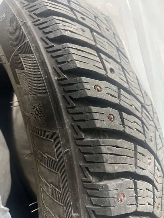 Зимние шины Triangle 215/55 R17