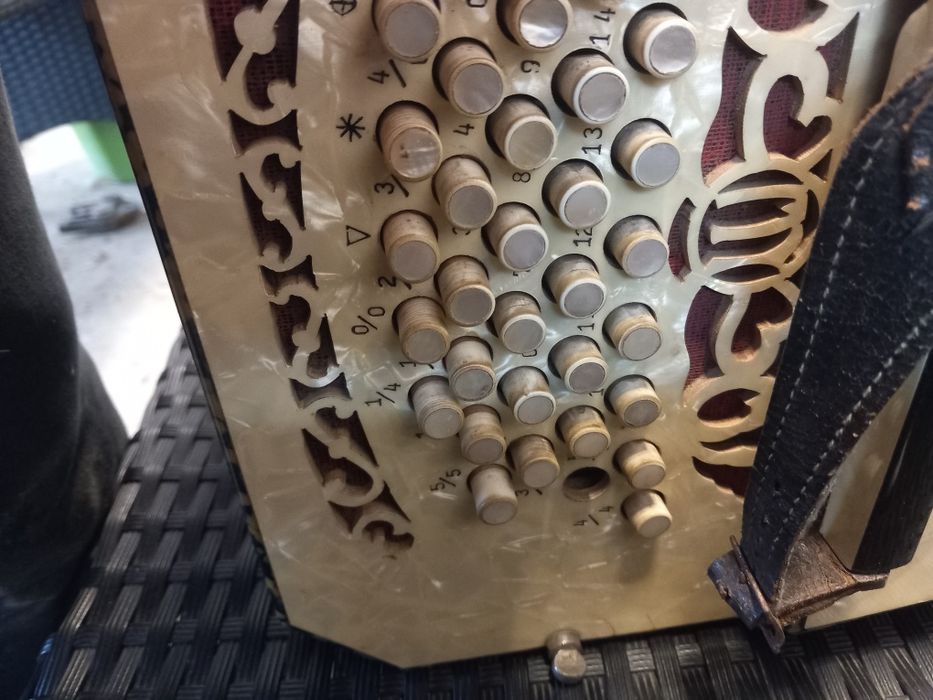 Bandoneon vechi adus din Germania