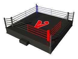 Ринг боксерский на раме 5м х 5м боевая зона 4м х 4м Супер цена