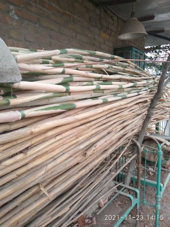 Бамбуковые стволы длиной 3.5м-4м