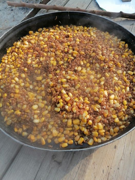 Домашние ,,яйца,,тухум,,халол савдо