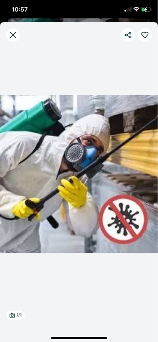 УНИЧТОЖЕНИЕ тараканов клопов блох мышей плесени