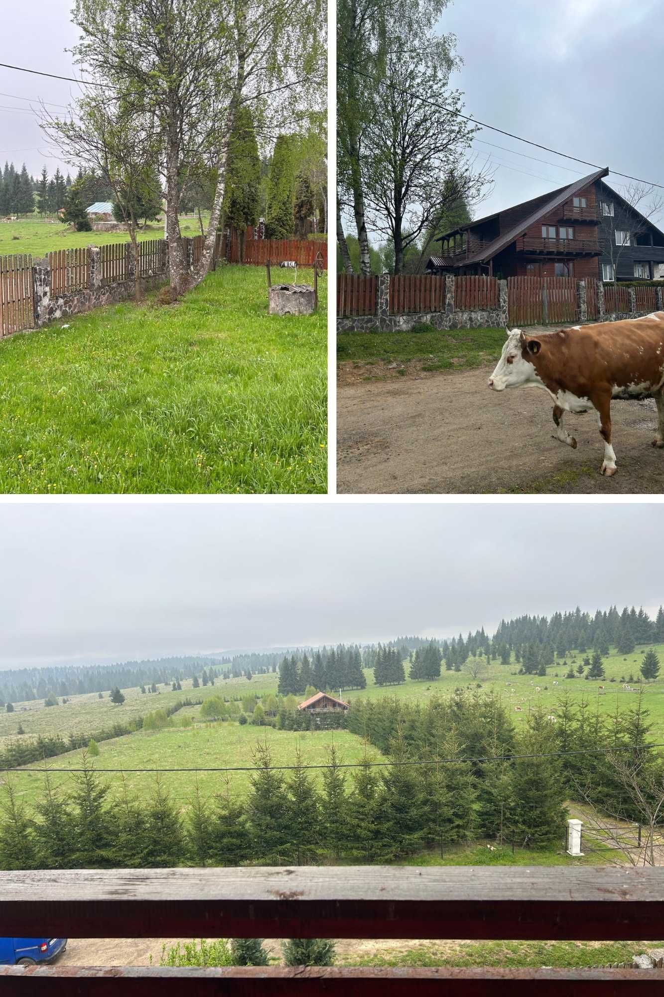 Casă 330 mp + teren 1000 mp – ideal pensiune, Râșca, lângă Beliș