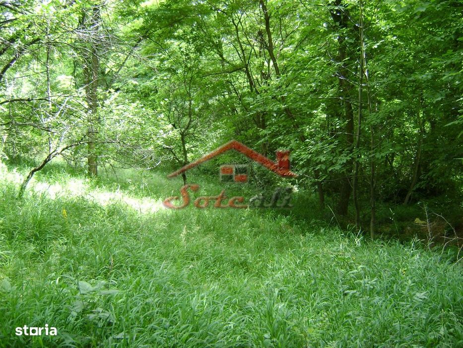 Teren de vanzare Cornu 3074 mp