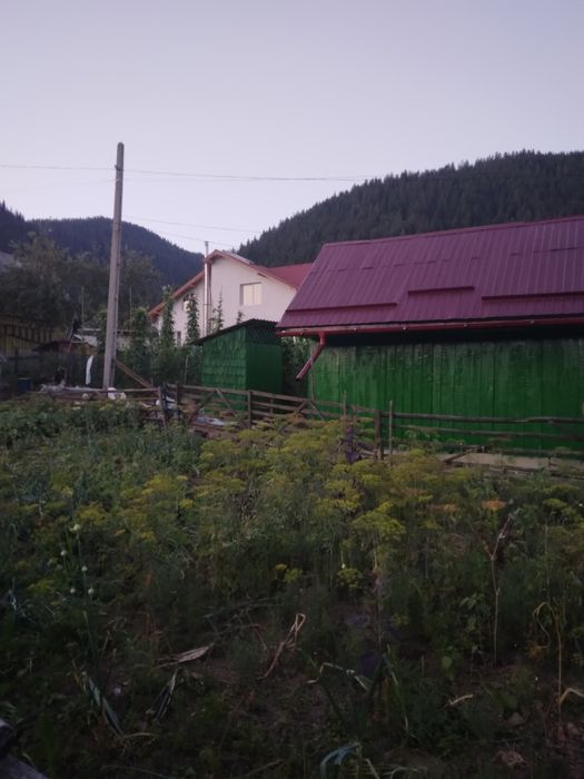Casă de vânzare din lemn 1800mp
