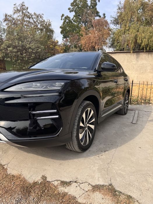 Byd song plus champion