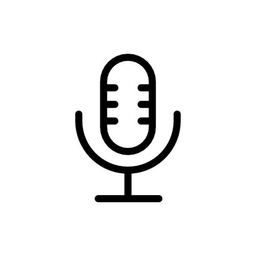 Услуги стенографиста