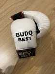 Manusi BudoBest karate
