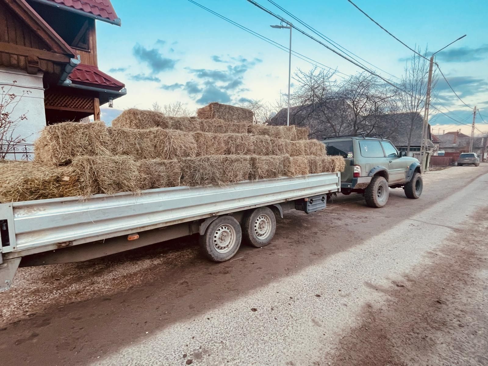 Transport animale/auto/utilaje/moto-inchirieri remorci