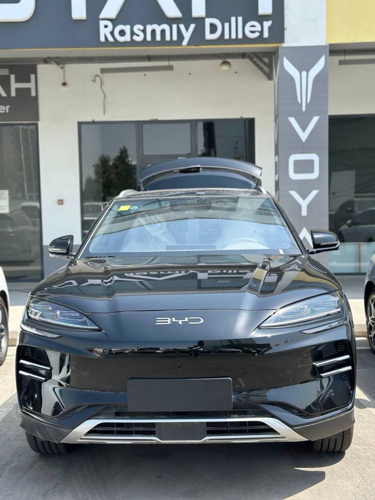 Byd chempion smart
